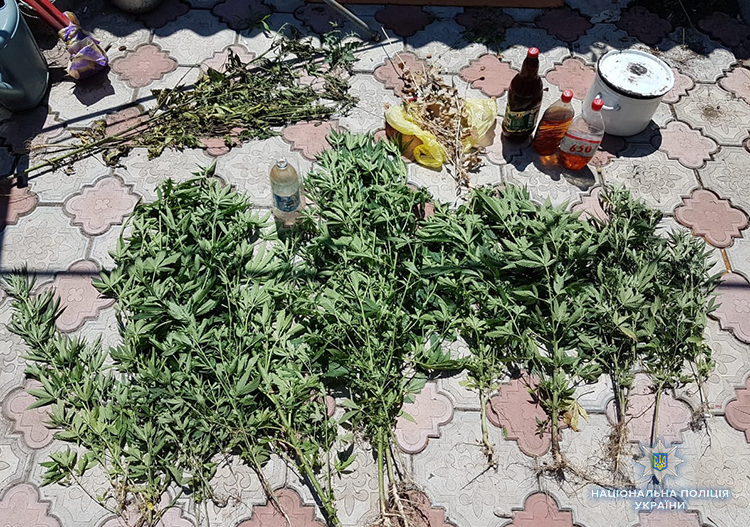 У Запорізькій області затримали двох наркоторговців, у них вилучили товару на півмільйона гривень (фото)