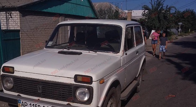 У Запорізькій області дитина потрапила під колеса автівки (фото)