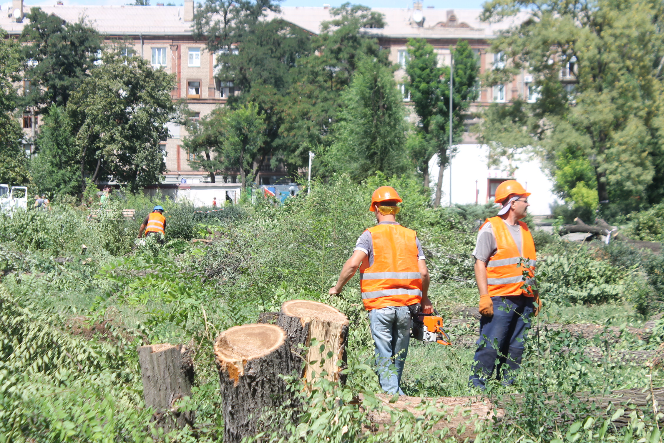 Участники акции протеста против вырубки деревьев в сквере Яланского снесли забор, поставленный застройщиком – ВИДЕО