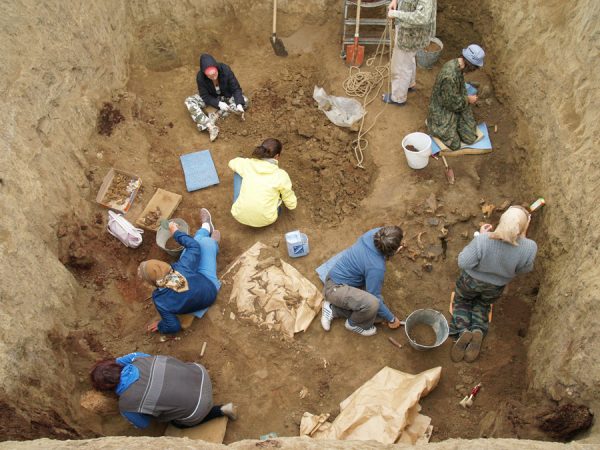 В Запорожской области археологи нашли захоронение эпохи поздней бронзы (Фото)