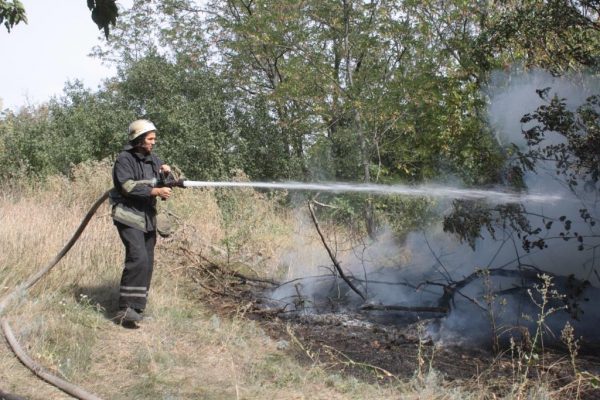 Запорожские спасатели тушили масштабный пожар в саду (Фото)