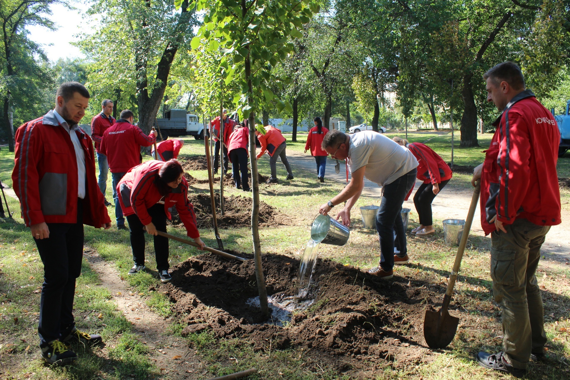 В Запорожье в сквере высадили 10 из запланированных 90 новых деревьев (ФОТО)