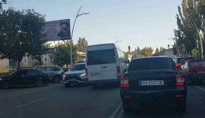 У Запорізькій області поліцейським довелося скрутити водія маршрутки (відео)