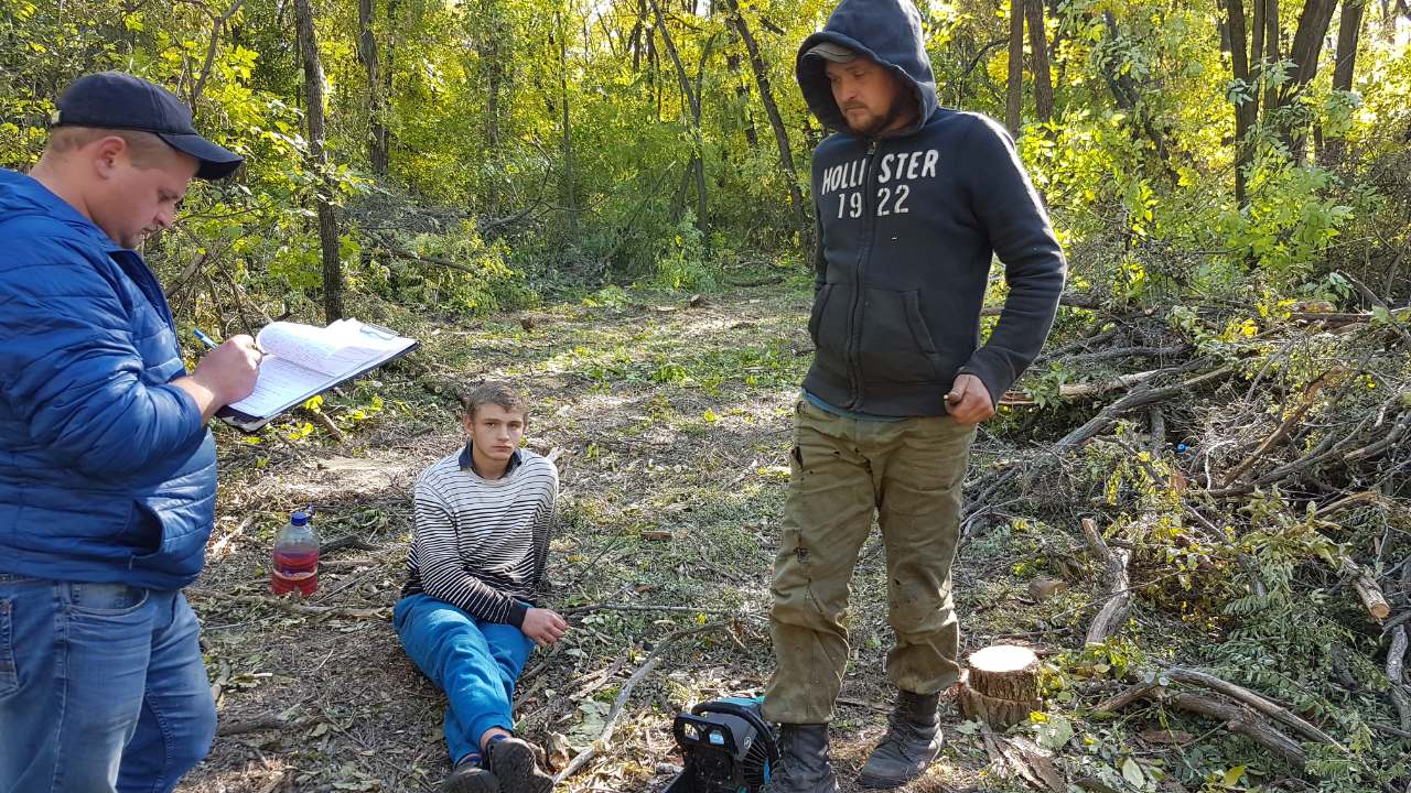 У Запорізькій області  “чорних лісорубів” затримували співробітники СБУ (фото)