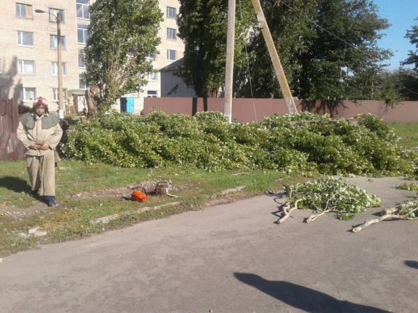 На женщину упала ветка с проводом: по факту смертельного случая в Запорожской области возбуждено уголовное производство
