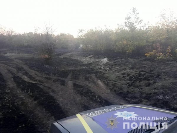 В Запорожской области ранее судимый мужчина поджог лесополосу (Фото)