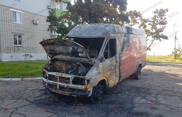 На запорожском курорте сгорел микроавтобус Mercedes (Фото)