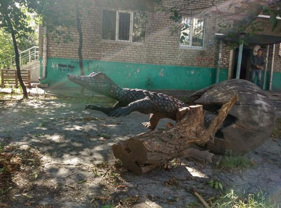 В одном из дворов Запорожья поселились дикие животные (Фото)
