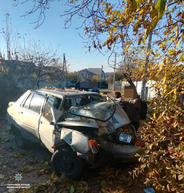 В Запорожье водителю “Славуты” стало плохо  за рулем: авто врезалось в дерево (Фото)