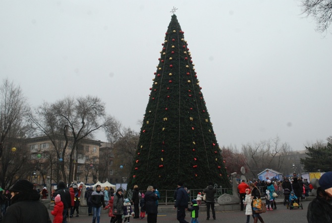 На площади Маяковского в Запорожье установили новогоднюю елку (Фото)