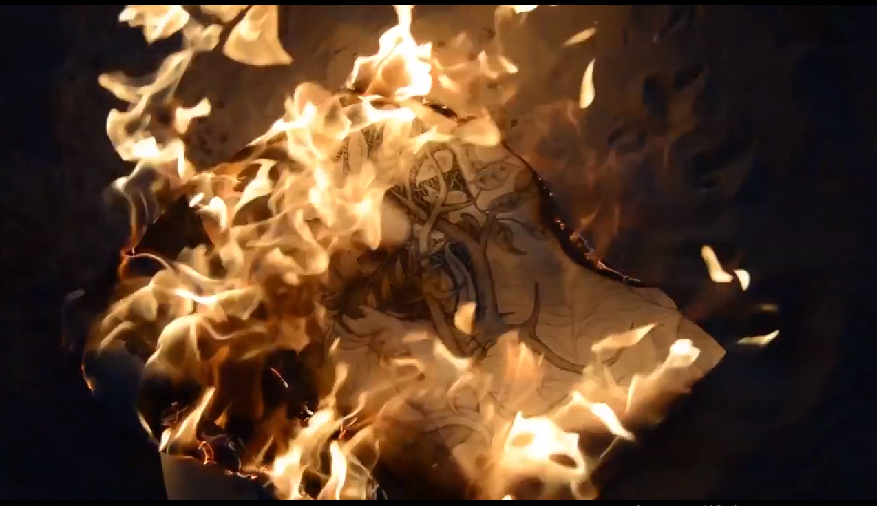 «Погане мистецтво має померти»: у Запоріжжі художник спалив картину, над якою працював майже рік (відео)
