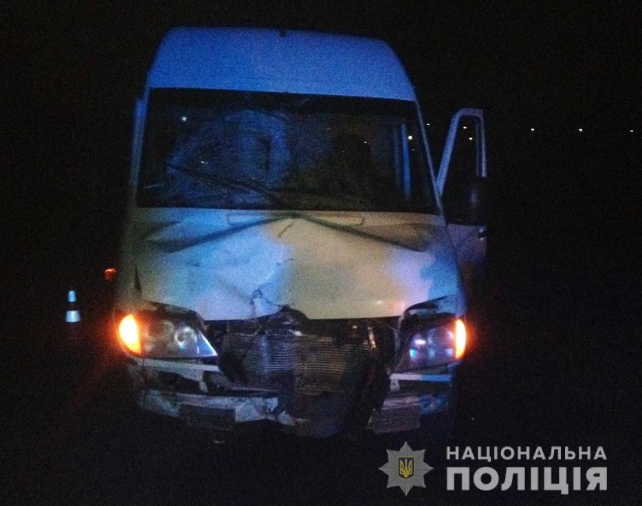 У Запорізькій області зіткнулися мікроавтобус та мотоцикл: одна людина у тяжкому стані (фото)