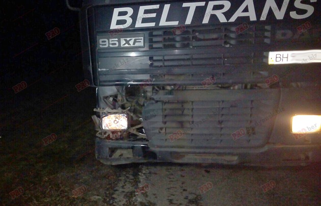В Запорожской области грузовик сбил человека (Фото)