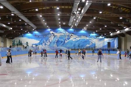 В Запорожской области появится ледовый дворец