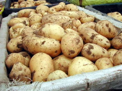 В Запорожской области из-за военного положения выросла цена на картофель
