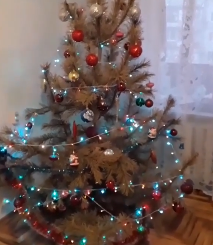 У запорожца целый год дома стояла наряженная елка (Видео)