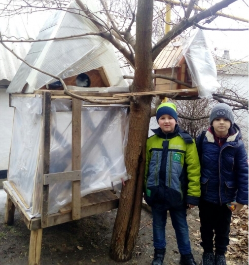 В Запорожской области школьники вместе с родителями соорудили на дереве дом для бездомных кошек (Фото)