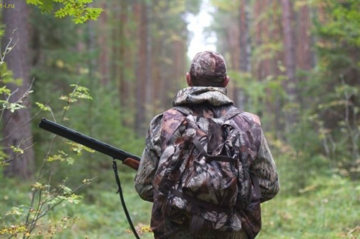 В Запорожской области из-за военного положения запрещают охоту