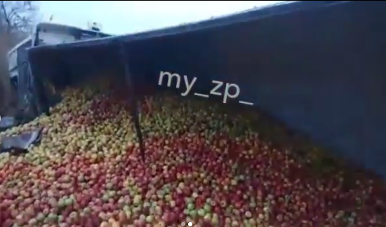 В сети появилось видео с места ДТП в Запорожской области, где фура с тоннами фруктов оказалась в кювете