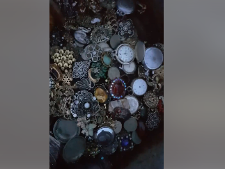 Жительница Запорожской области нашла клад (Видео)