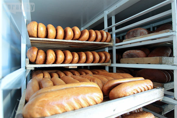 В тендере по поставке хлеба в Запорожскую областную больницу супруги сбили цену своего конкурента на 20%