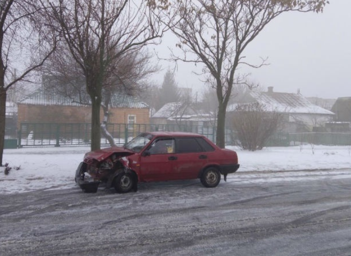 В Запорожской области автомобиль врезался в дерево (Фото)