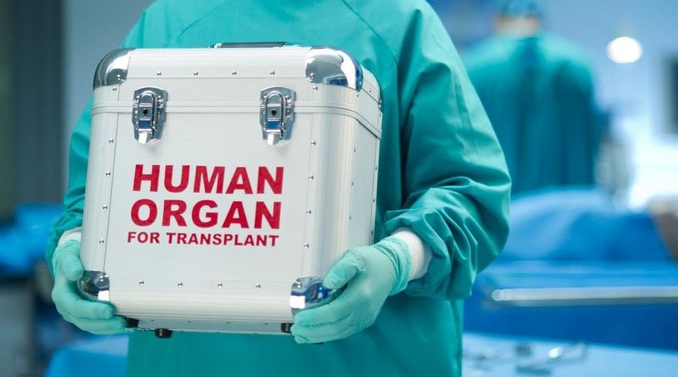 В Запорожье открылись курсы по подготовке трансплант-координаторов
