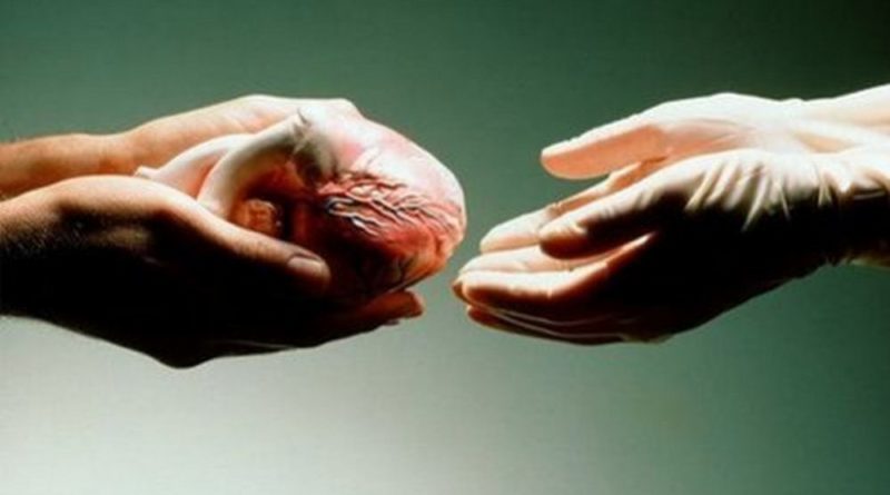 Запорізький лікар про органне донорство: багато пацієнтів не  хвилює навіть банальний медичний огляд