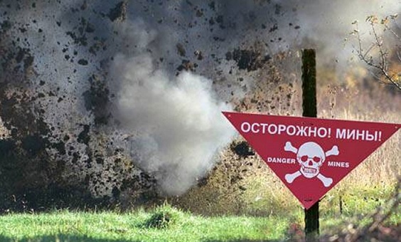 Житель запорожской области нашел в огороде мины