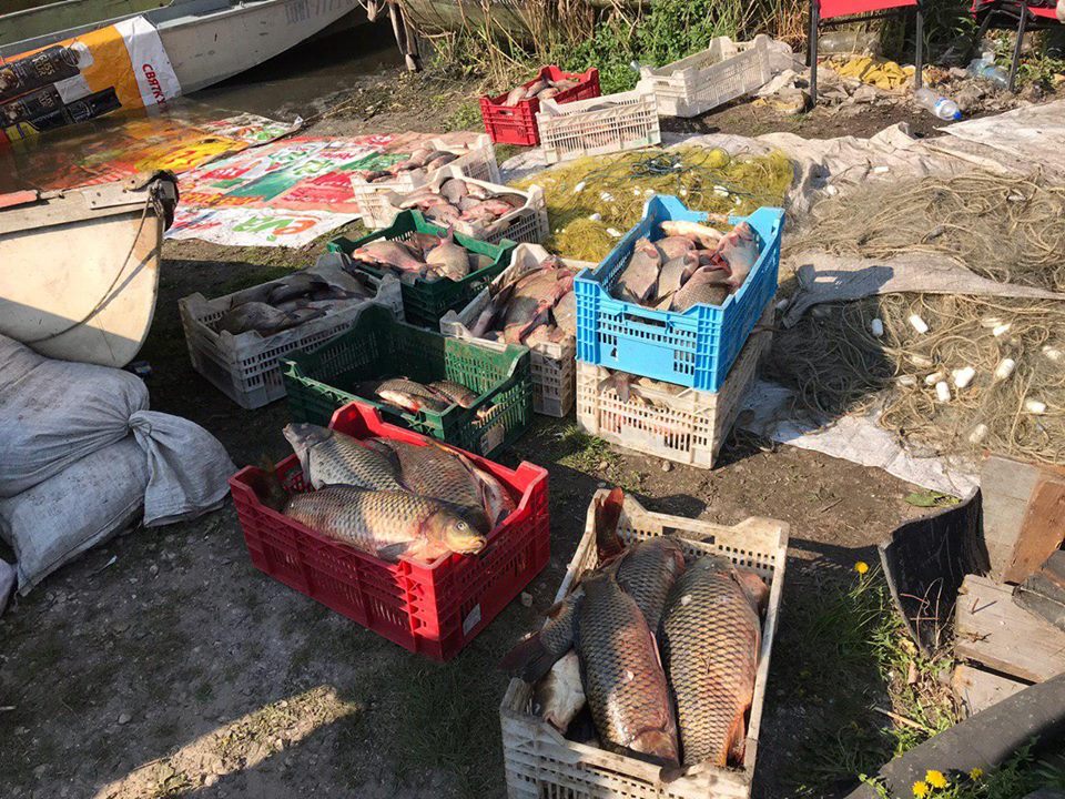 Запорожский рыбоохранный патруль остановил незаконный рыбный промысел известного псевдоактивиста
