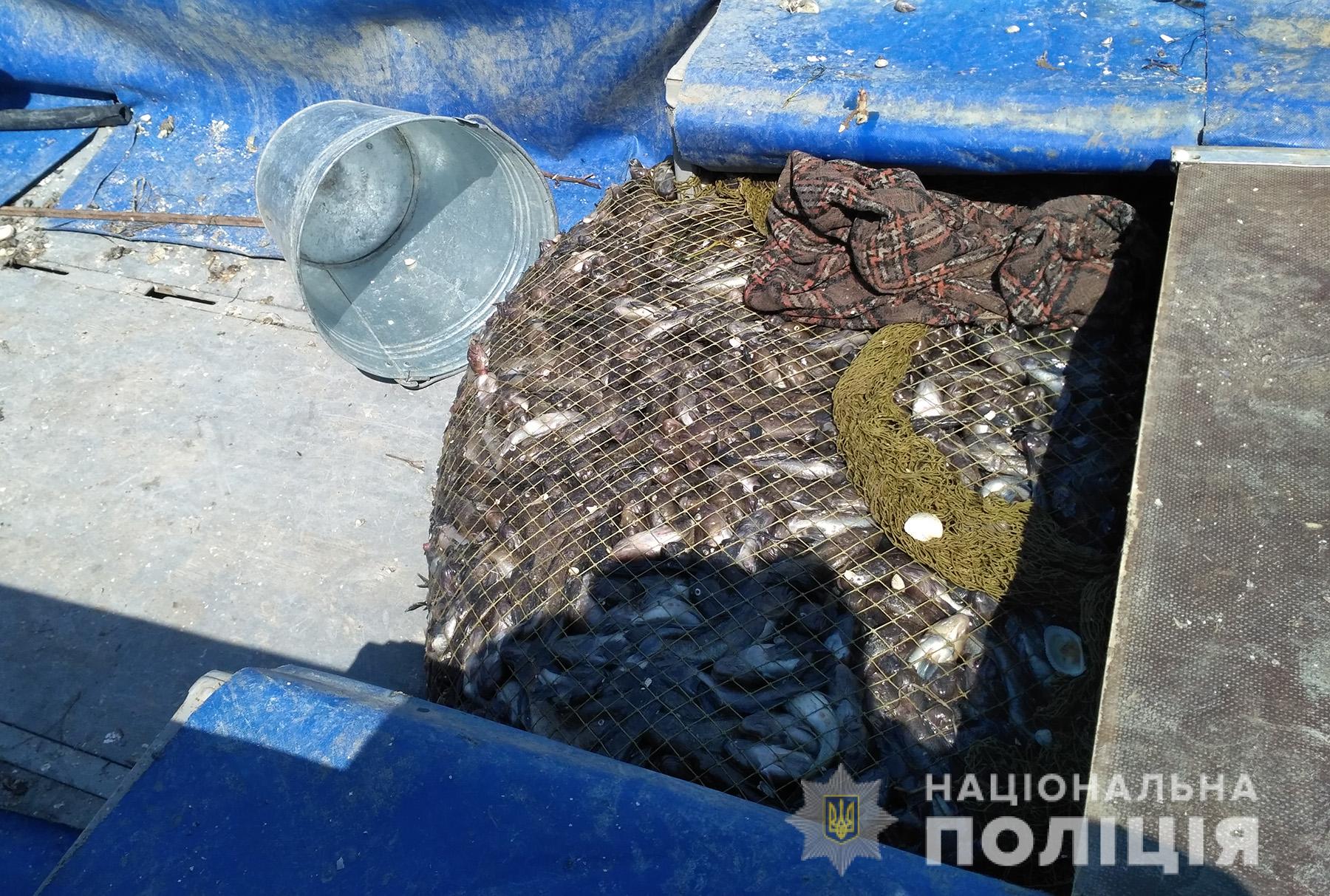 В Запорожской области поймали браконьеров с уловом на около 174 тысячи гривен (Фото)