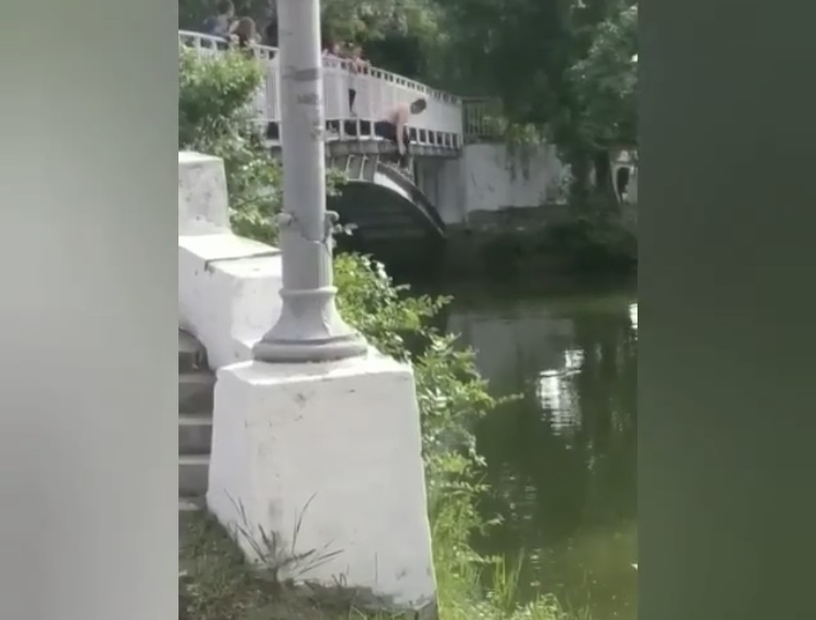 Запорожские подростки в Дубовке прыгали с моста в пруд
