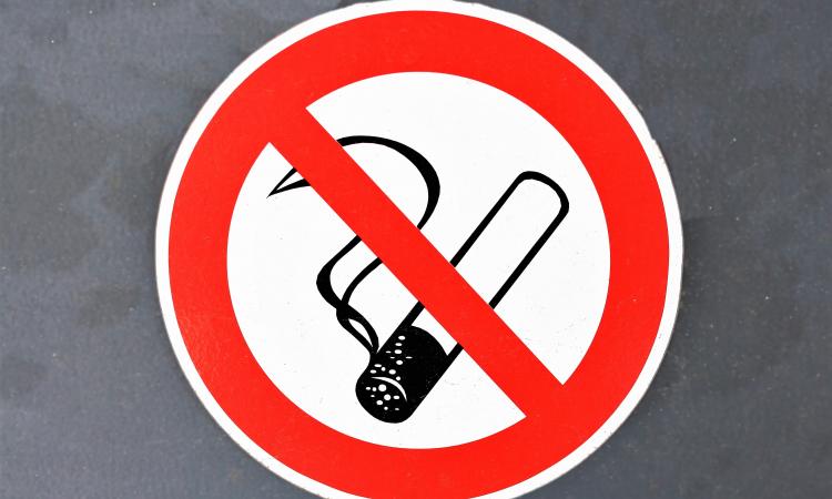 В Мелитополе студентку осудили за курение в неположенном месте