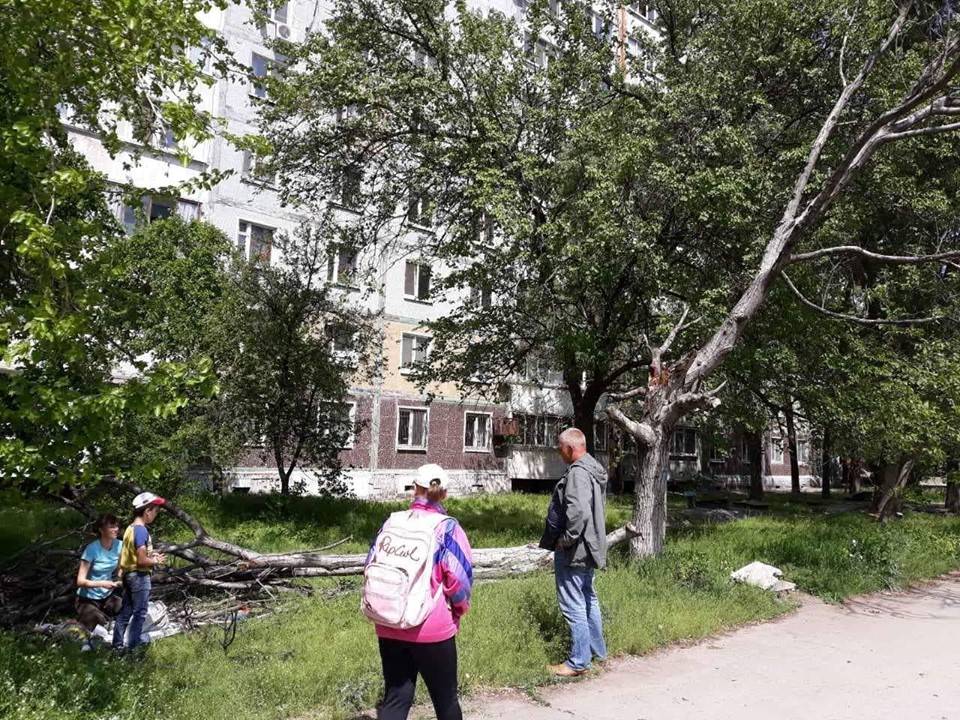 Фотофакт: в Бородинском микрорайоне Запорожья сухое дерево упало на женщину с ребенком