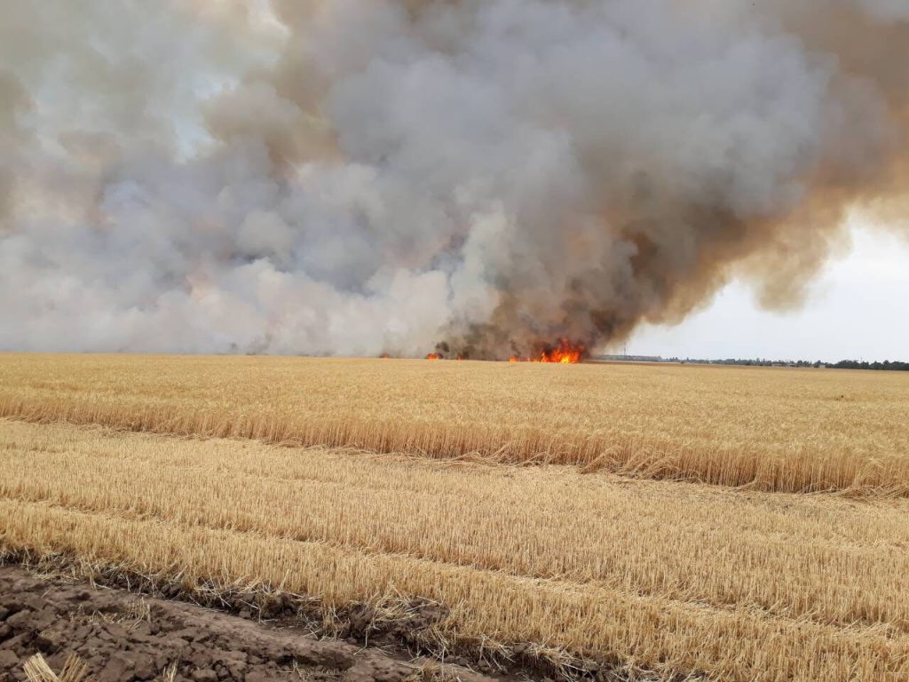 У Запорізькій області полум’я знищило гектари пшениці