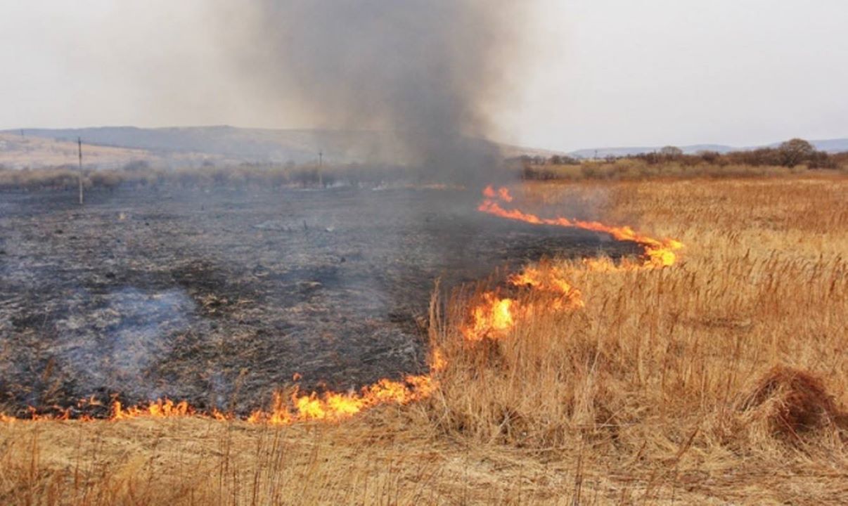 У Запорізькій області підпалювачів стерні будуть карати