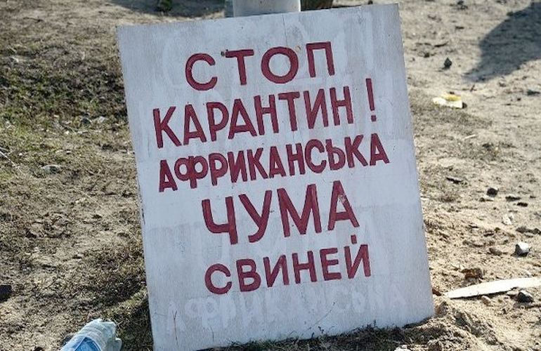 У Запорізькій області виявлено африканську чуму свиней: оголошено карантин