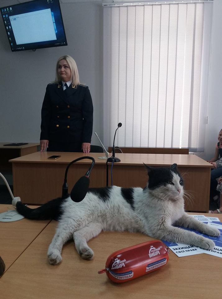 У Запоріжжі судили кота (Фото)