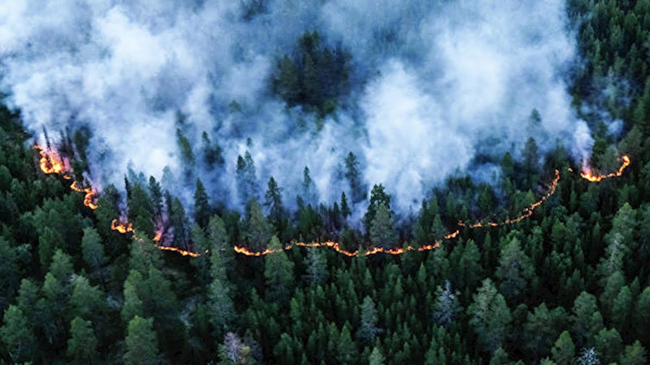 У Сибіру горить 3 млн гектарів лісу – російські чиновники кажуть, що гасити пожежу “невигідно”