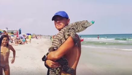 «Бизнесмены» с крокодилами и попугаями на руках исчезли из пляжей Кирилловки (Видео)