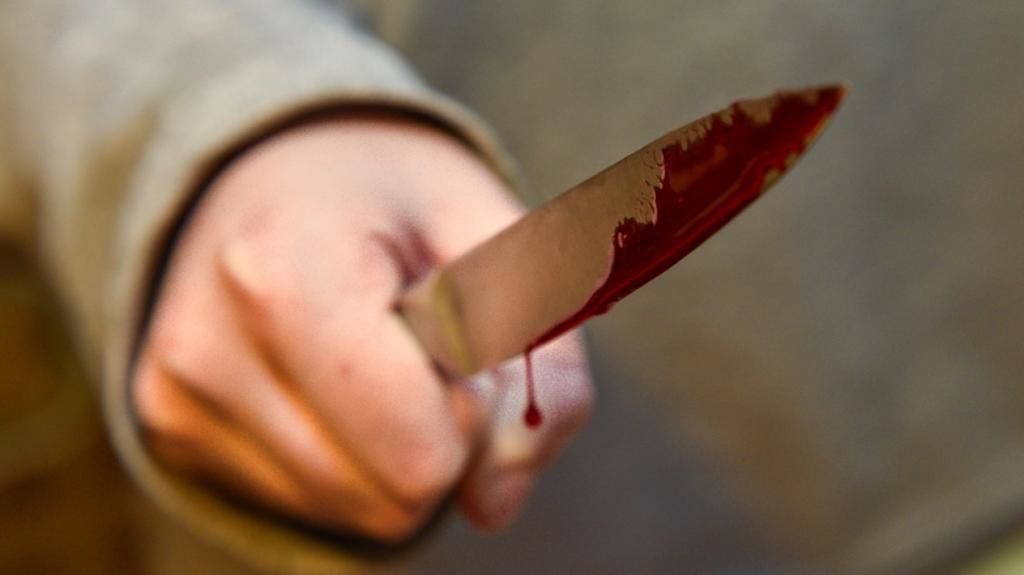 В Запорожье во время задержания вор пырнул ножом полицейского (ФОТО)