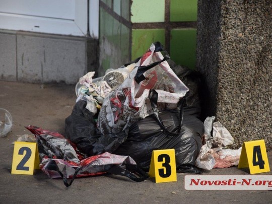 В Николаеве на автовокзале нашли в пакете труп младенца (Видео)