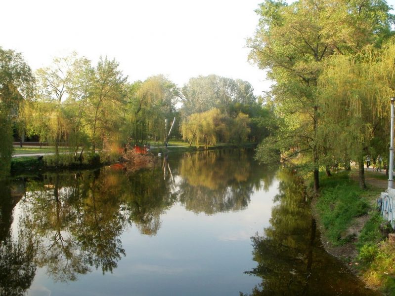 В Запорожском парке “Дубовая роща” происходит экологическая катастрофа (видео)