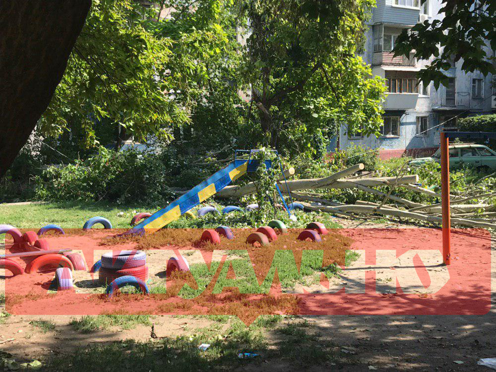 В Запорожье огромный тополь, который рухнул во время непогоды, продолжает лежать на детской площадке (Фотофакт)