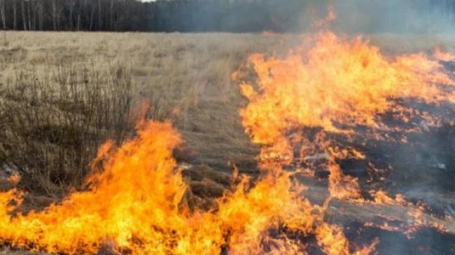Протест против произвола фермеров не помог: в Запорожской области продолжают сжигать поля (ФОТО)