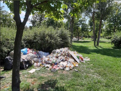В Запорожье посреди парка выбросили кучу мусора (ФОТОФАКТ)