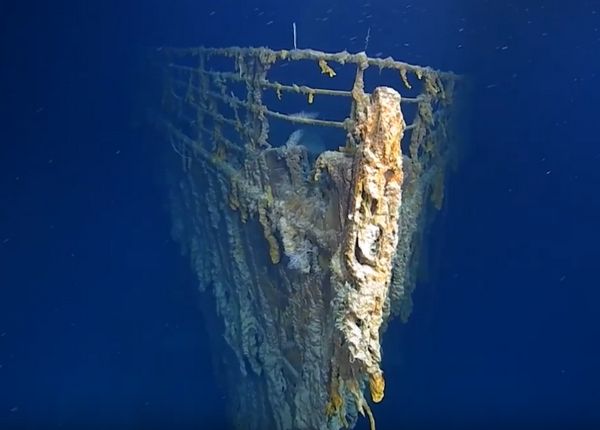 Исследователи показали, как выглядит “Титаник” через 107 лет. Завораживающее( Видео)