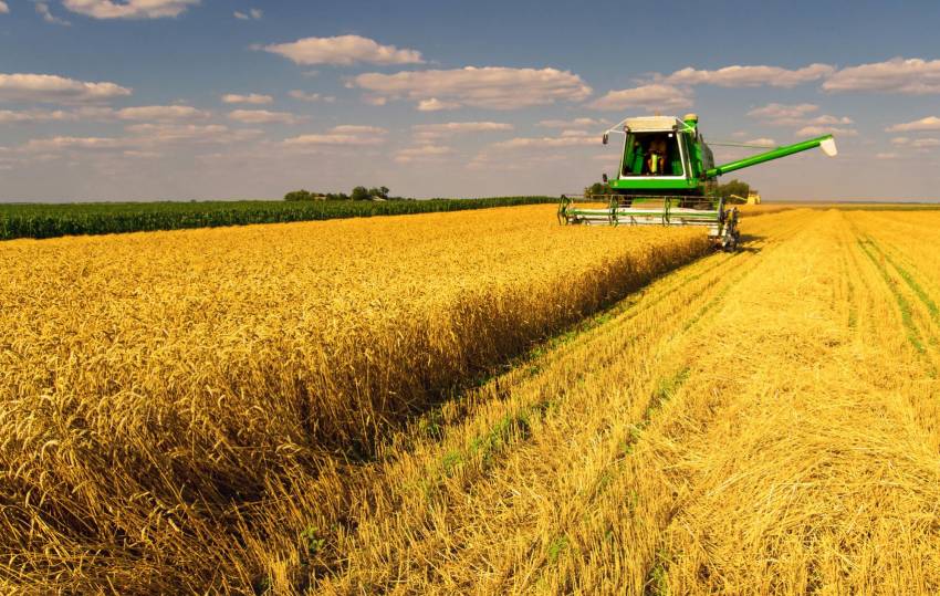 Украинские аграрии собрали почти 90% урожая