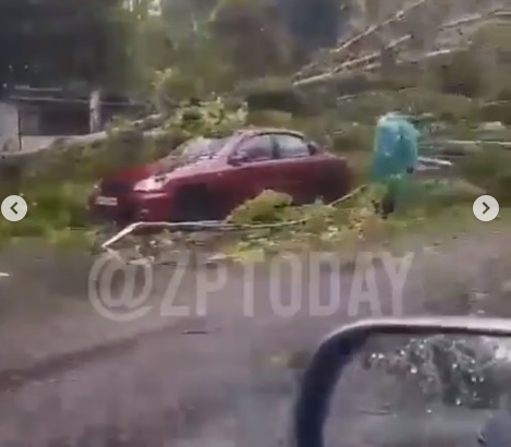 Запорожцы продолжают фиксировать последствия непогоды: ливнёвки не справляются, деревья падают на автомобили, в подъездах – потоп (Видео)