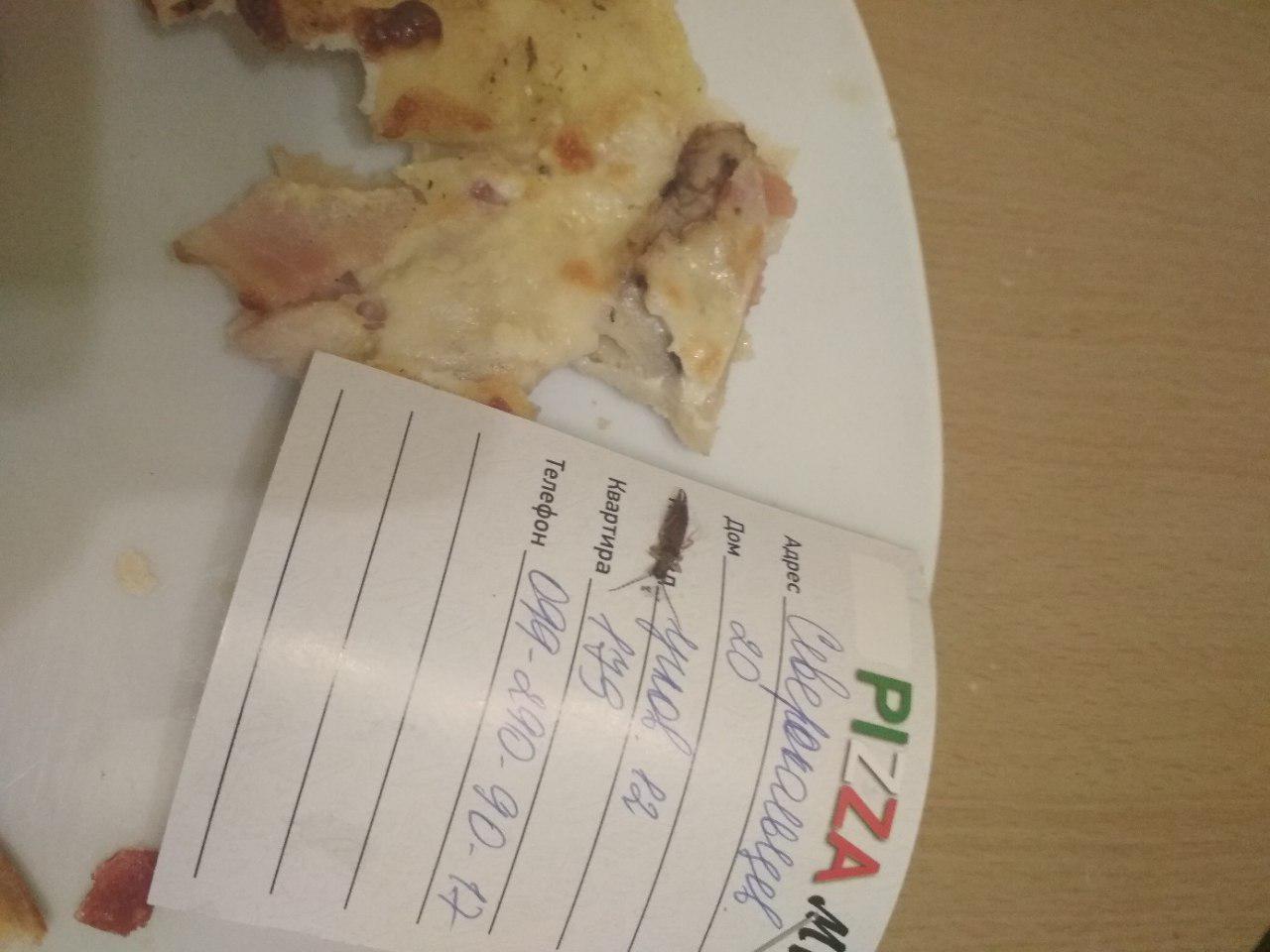 “Дополнительное мясо”: клиентов запорожской пиццерии неприятно удивила “усатая” начинка (ФОТО)